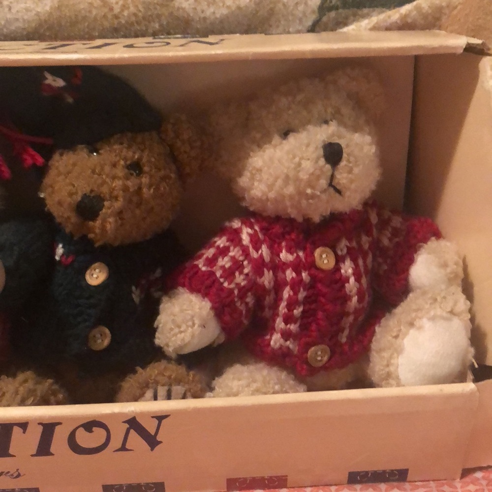 Teddy Bear Collection - Picture 5 of 14